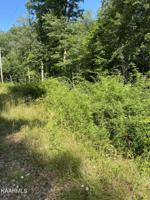 3127 Crow Drive