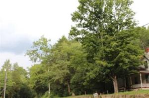 2688 Kidwell Ridge Rd