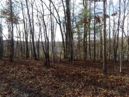 41 Meadowood Lane