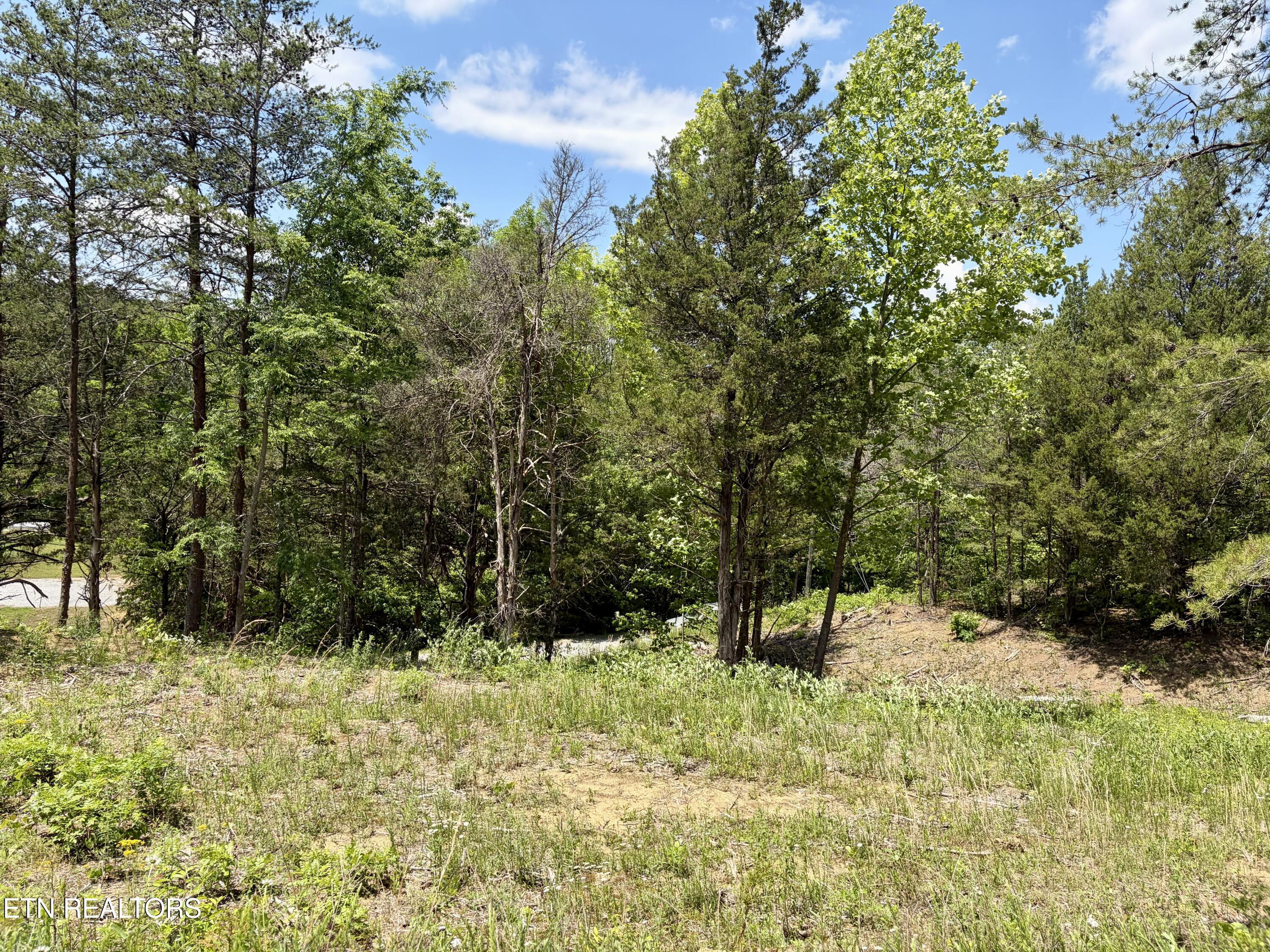 Image 1: Lot 7