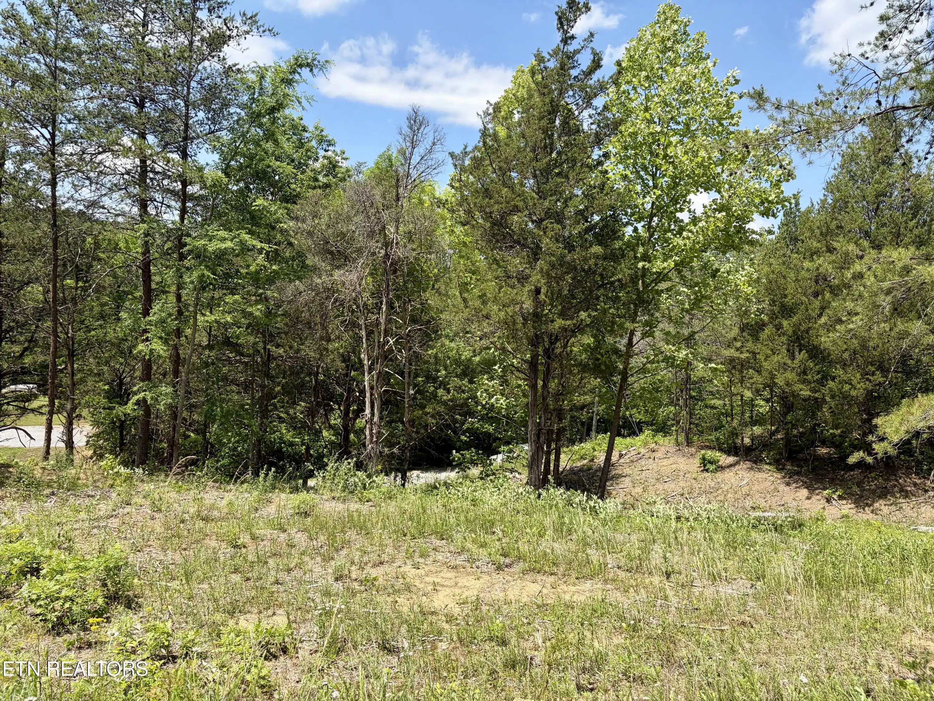 Image 1: Lot 7