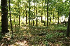 Lot 8 Sequoia Dr.  8