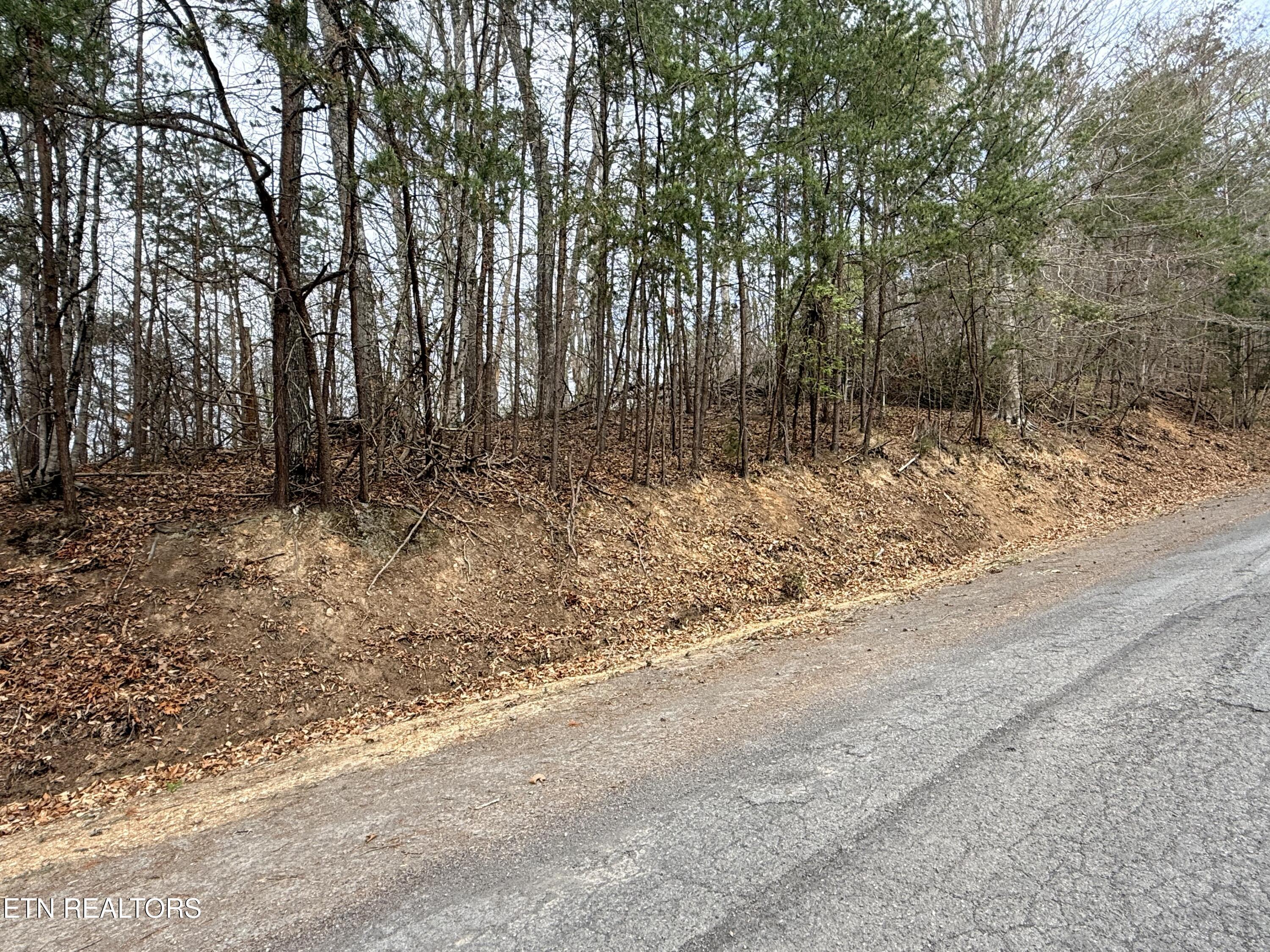 Image 1: Lot 77