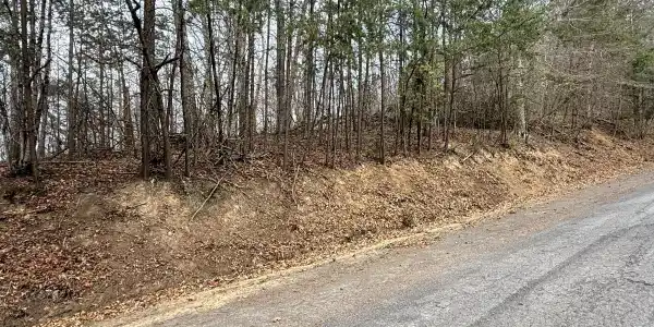 Lot 77 Grandpas Ridge