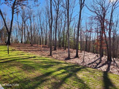 184 Hammock Court