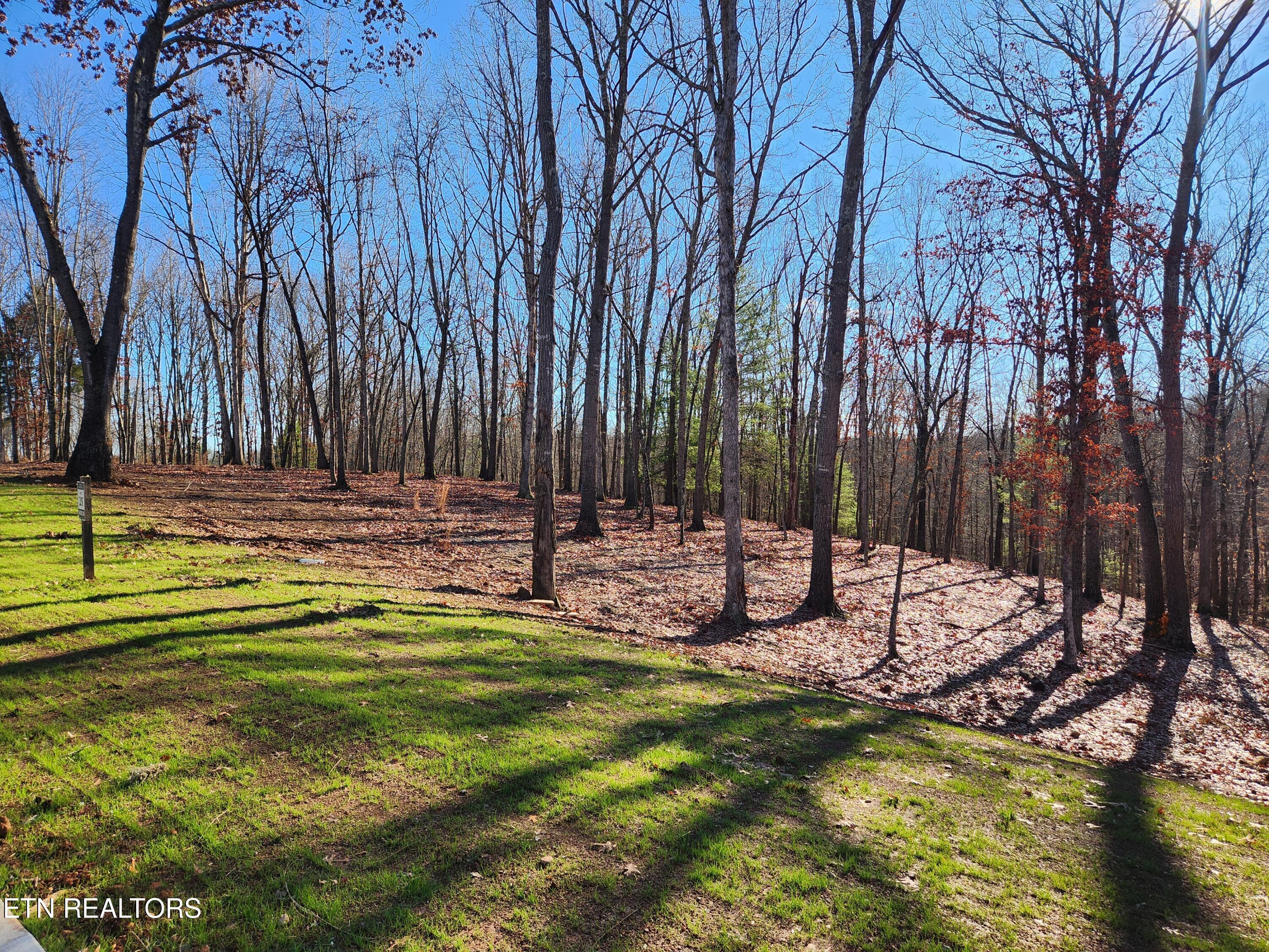 Image 1: 184 Hammock Court