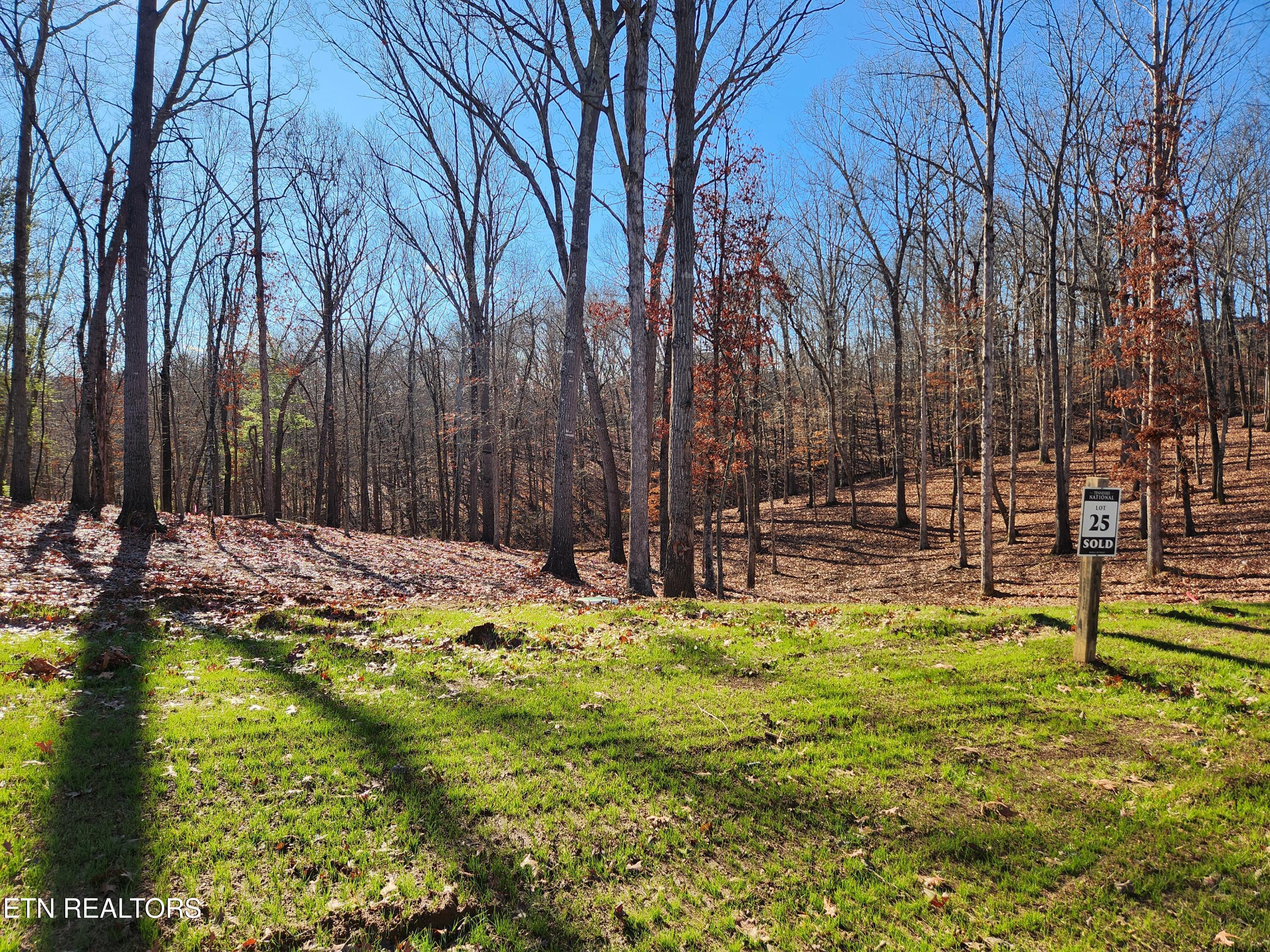 Image 2: Over half an acre to build on