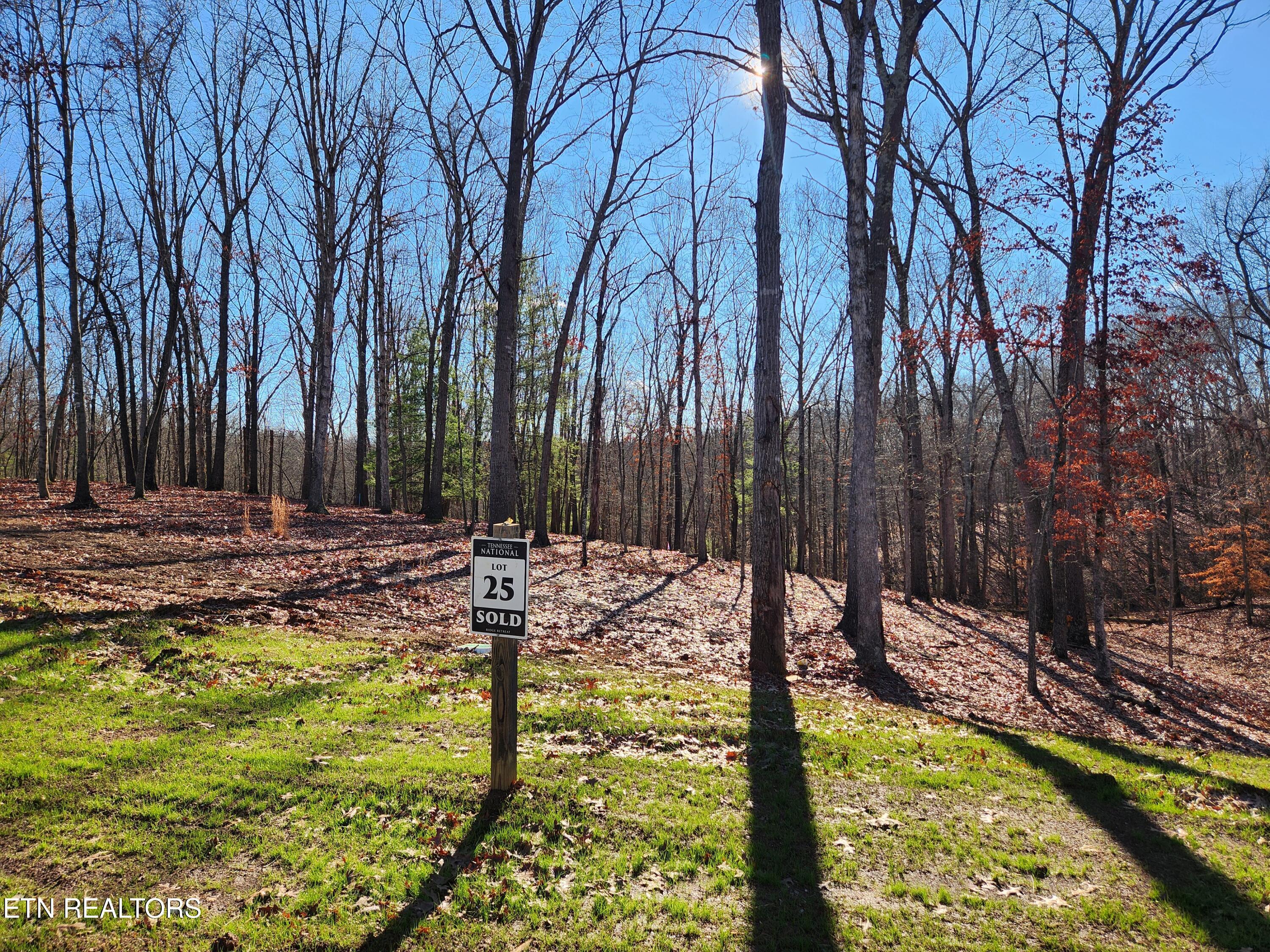 Image 3: Hiking Trails Behind the Property