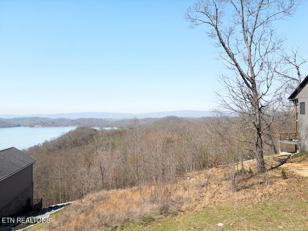 Image 2: View from property
