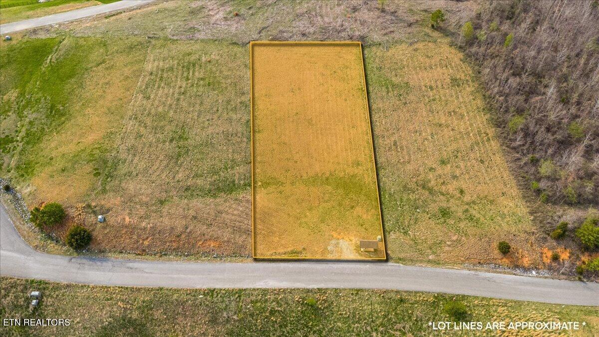 Image 3: 02-Cameron Loop Ln