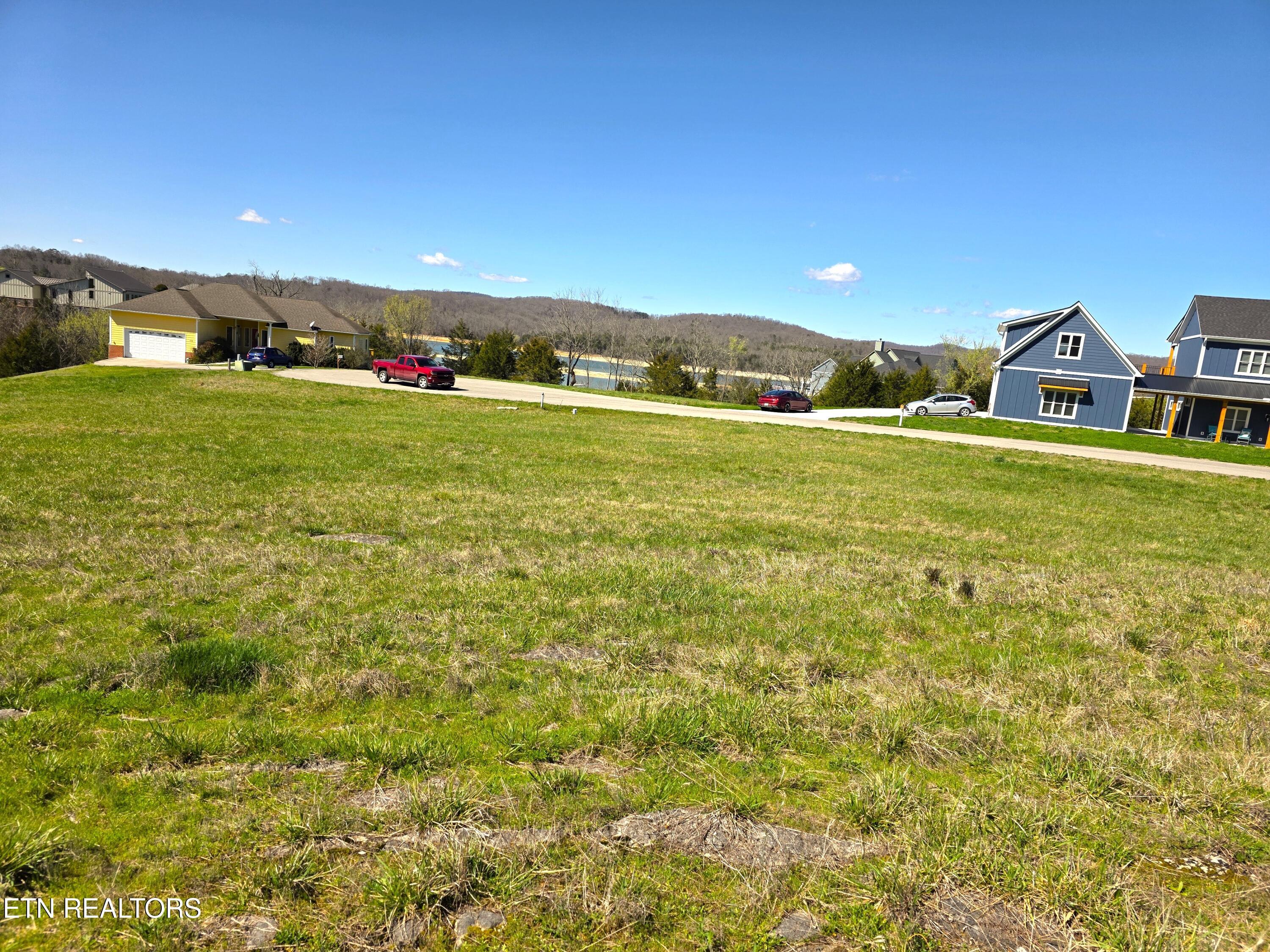 Image 2: Level and large!