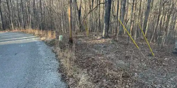 Lake Drive Lane