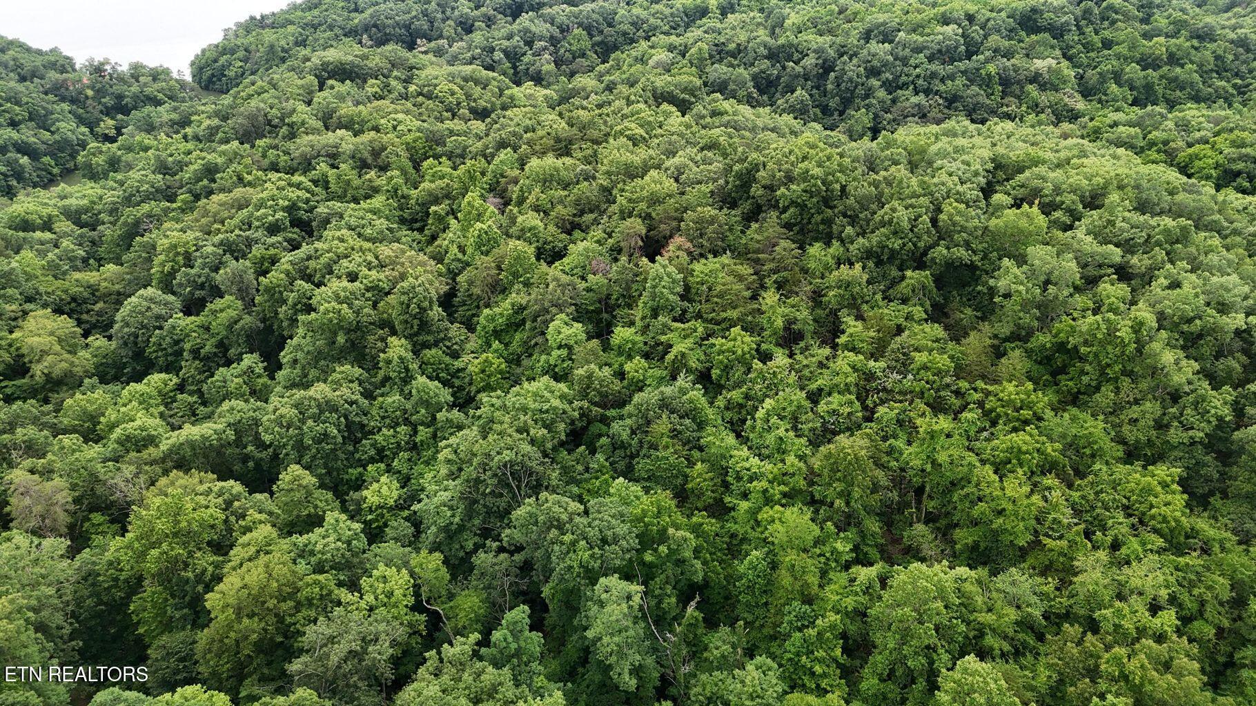 Image 2: 2