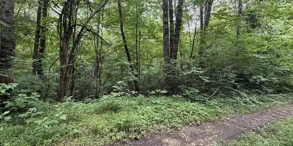 Image 3: 3