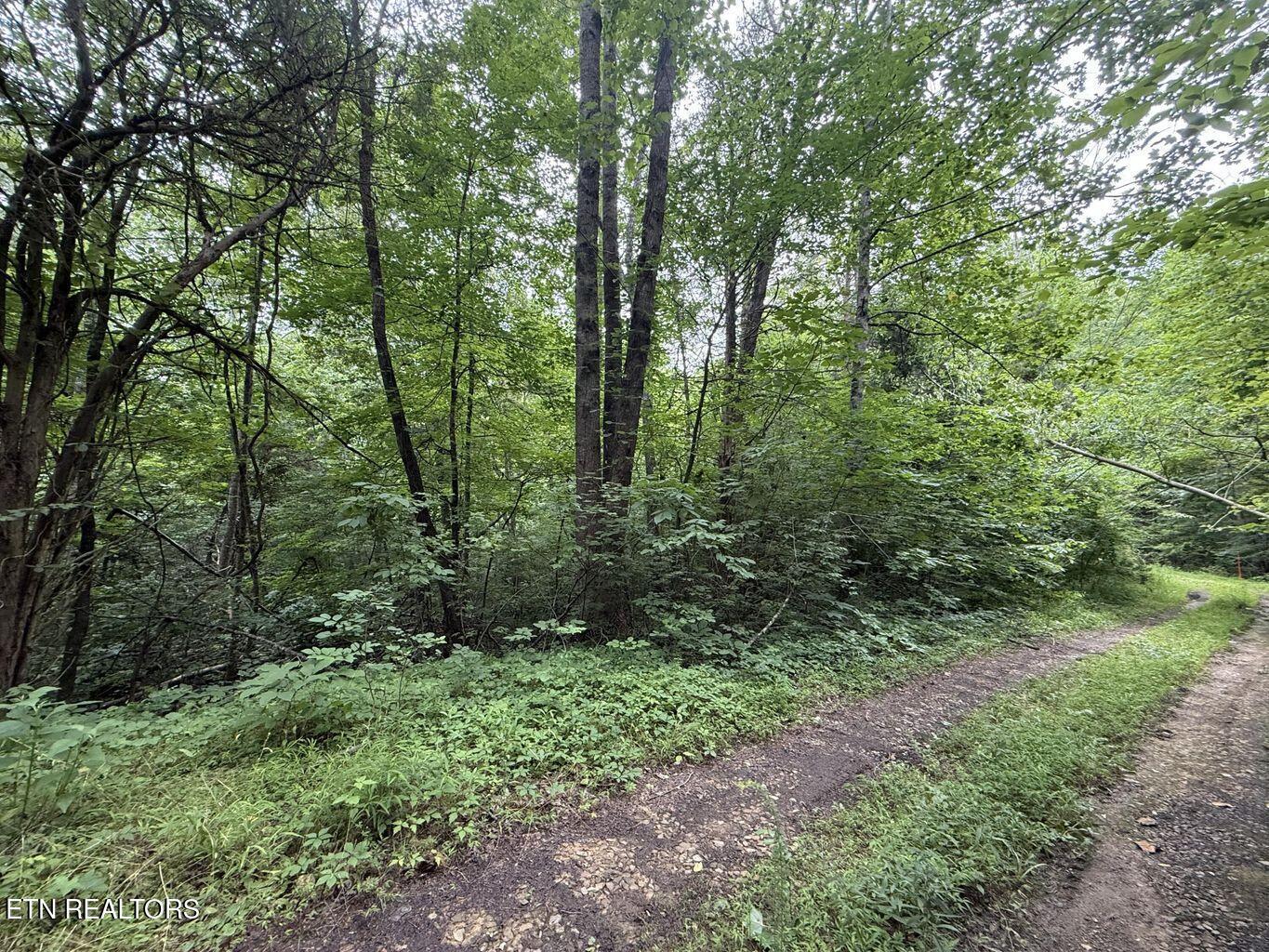 Image 4: 4