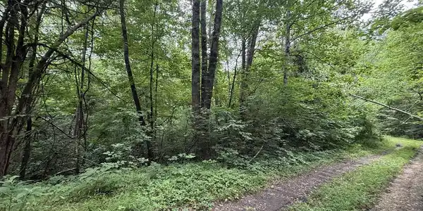 Image 4: 4