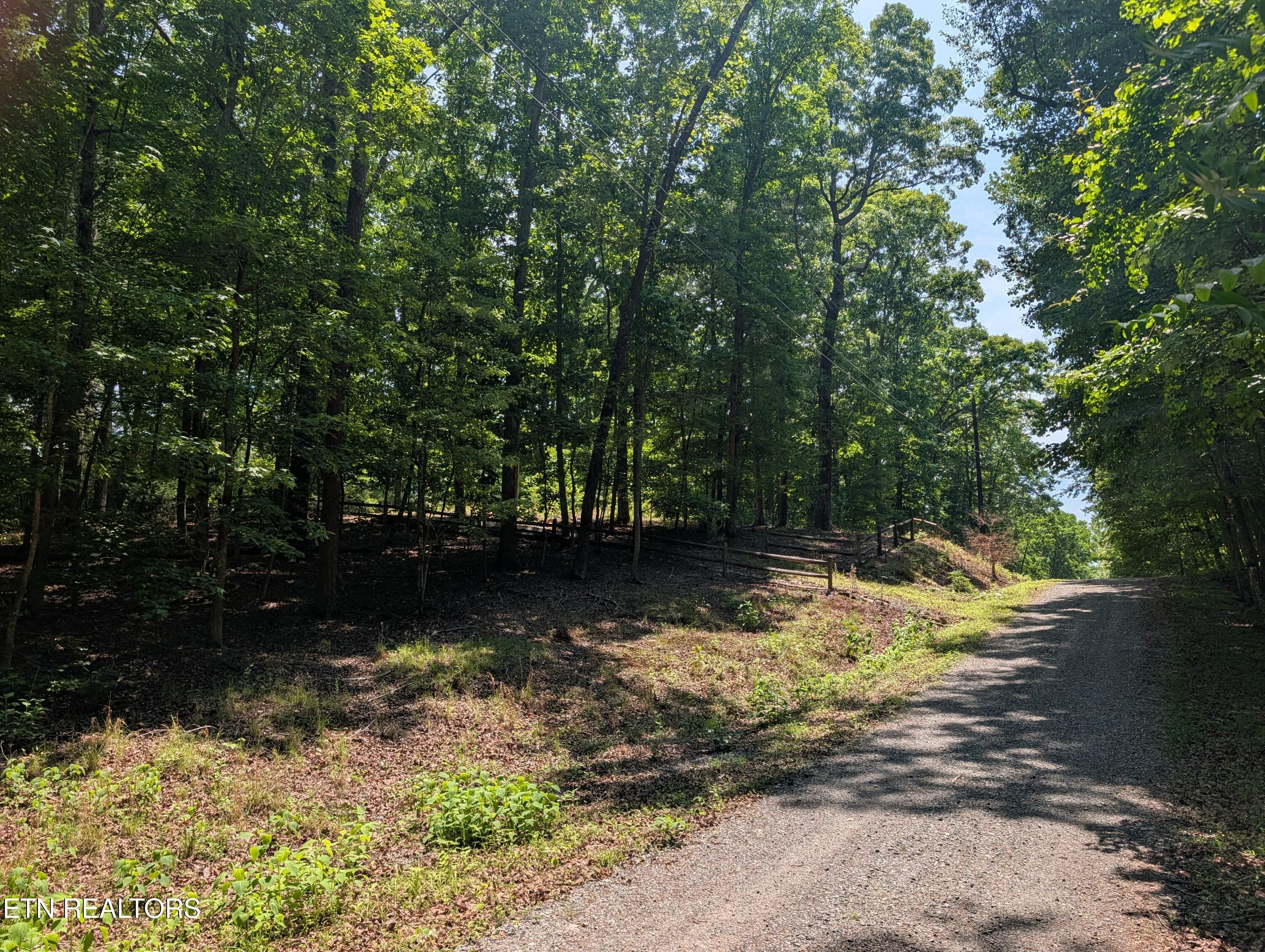 Image 2: PXL_20260519_161419744
