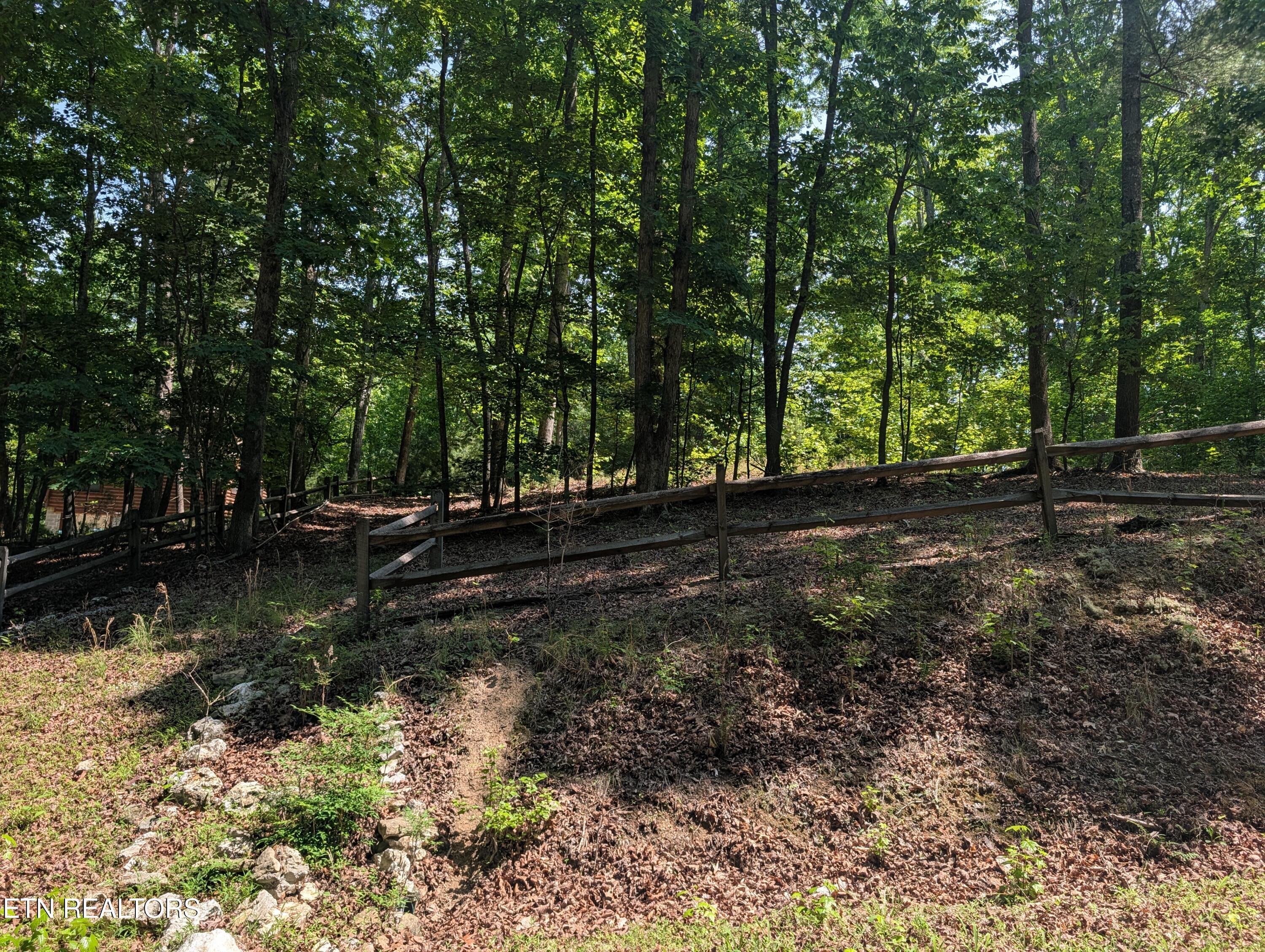 Image 3: PXL_20260519_161459677