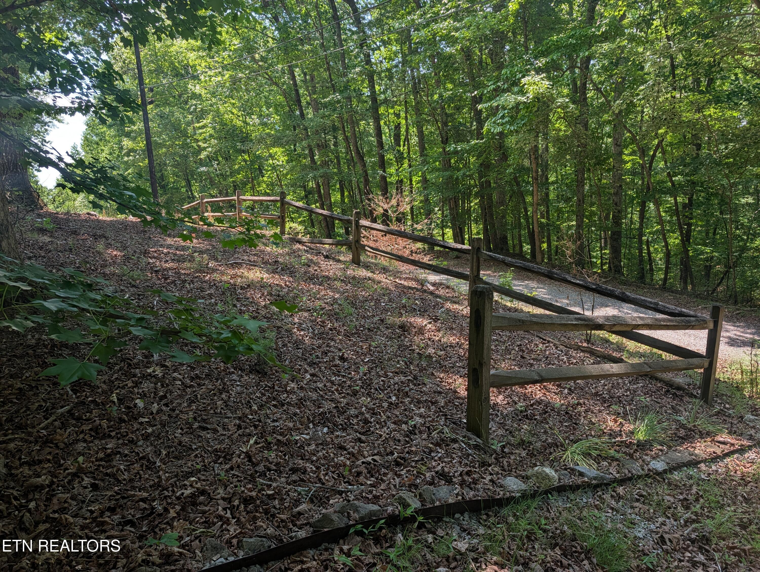Image 4: PXL_20260519_161645026