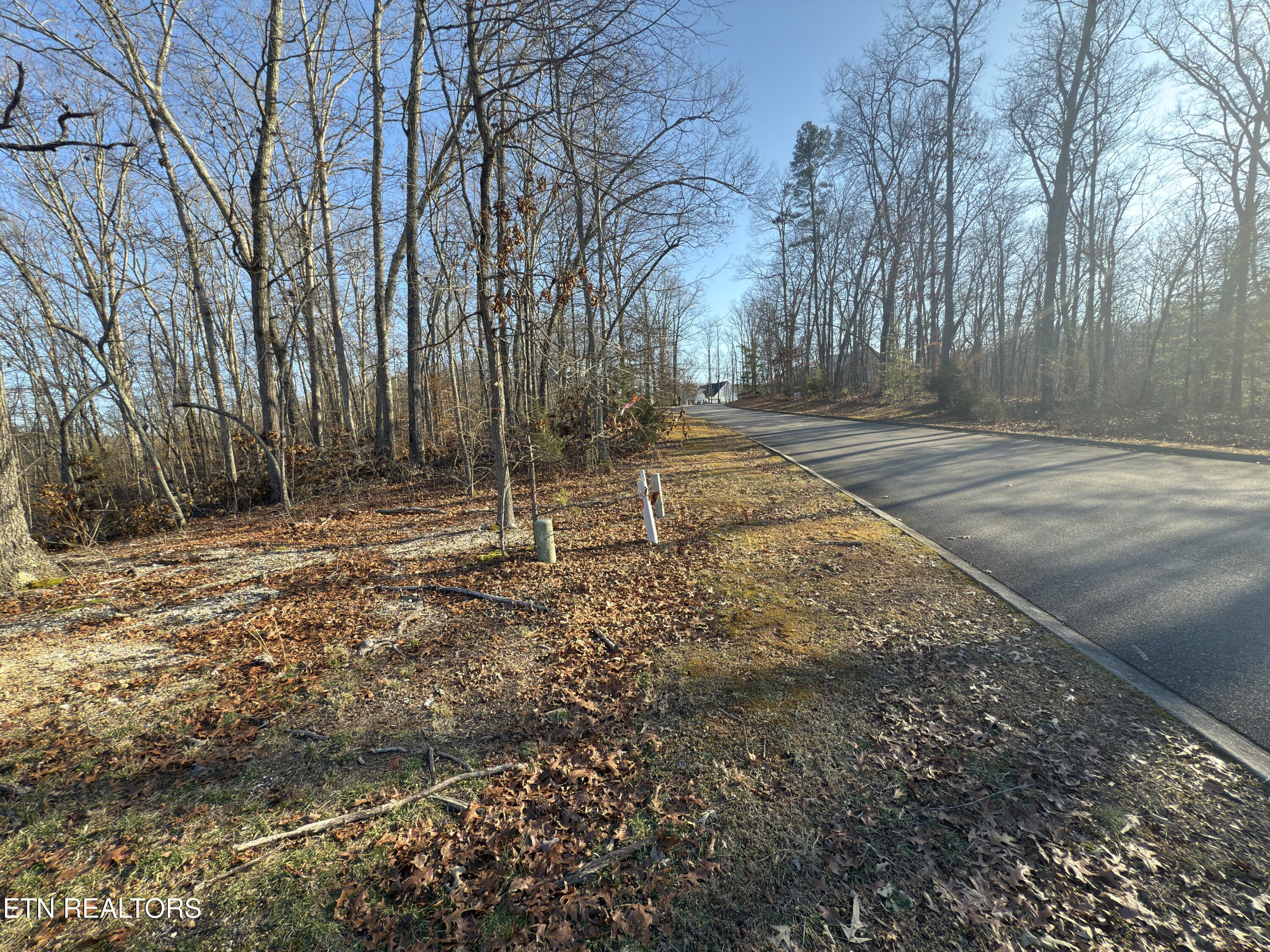 Image 3: Lot View