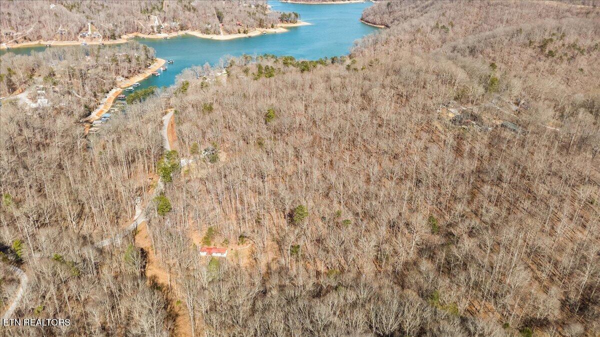 Image 4: 06-Hiawassee View Dr