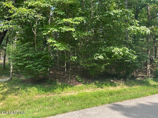Image 1: IMG_4036