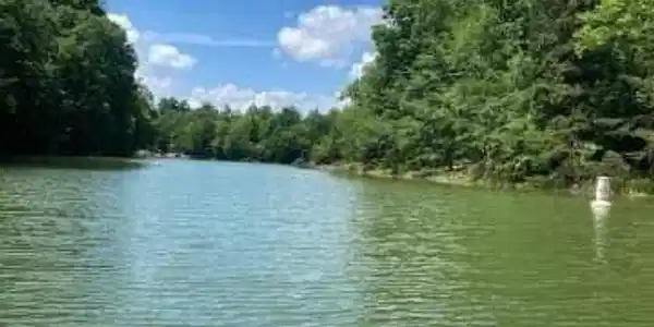 Image 2: Douglas Lake