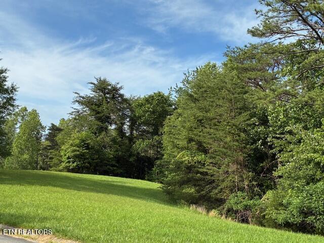 Image 3: IMG_0394