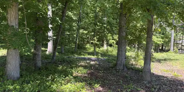 Image 3: Towards Shoreline_2