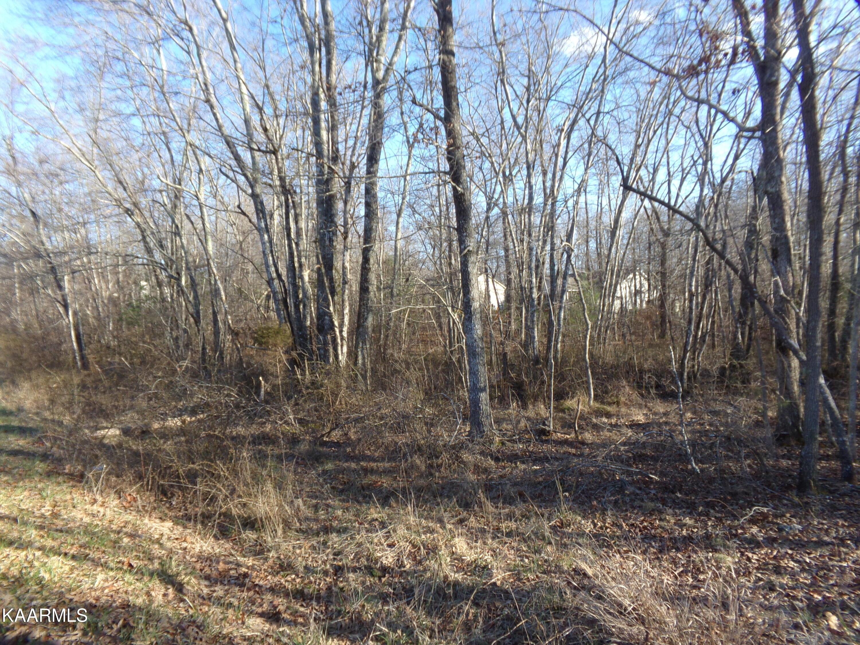 Image 4: Front of Lot