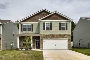 5517 English Holly Way