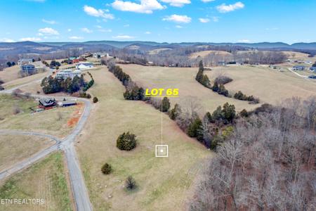Lot 65 Cow Poke Lane
