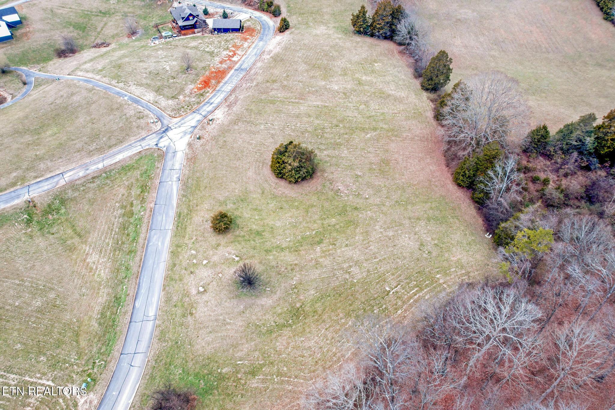 Image 4: Shiloh Springs-3