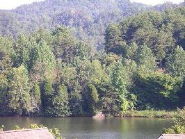 490 Marsh Hawk Drive 535