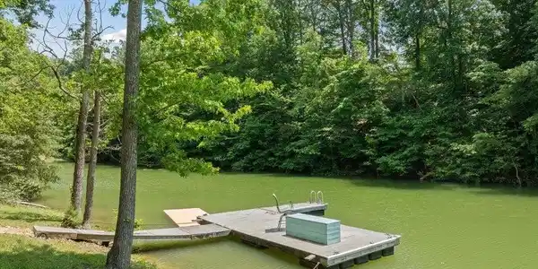 Image 3: Dock Blk Alder