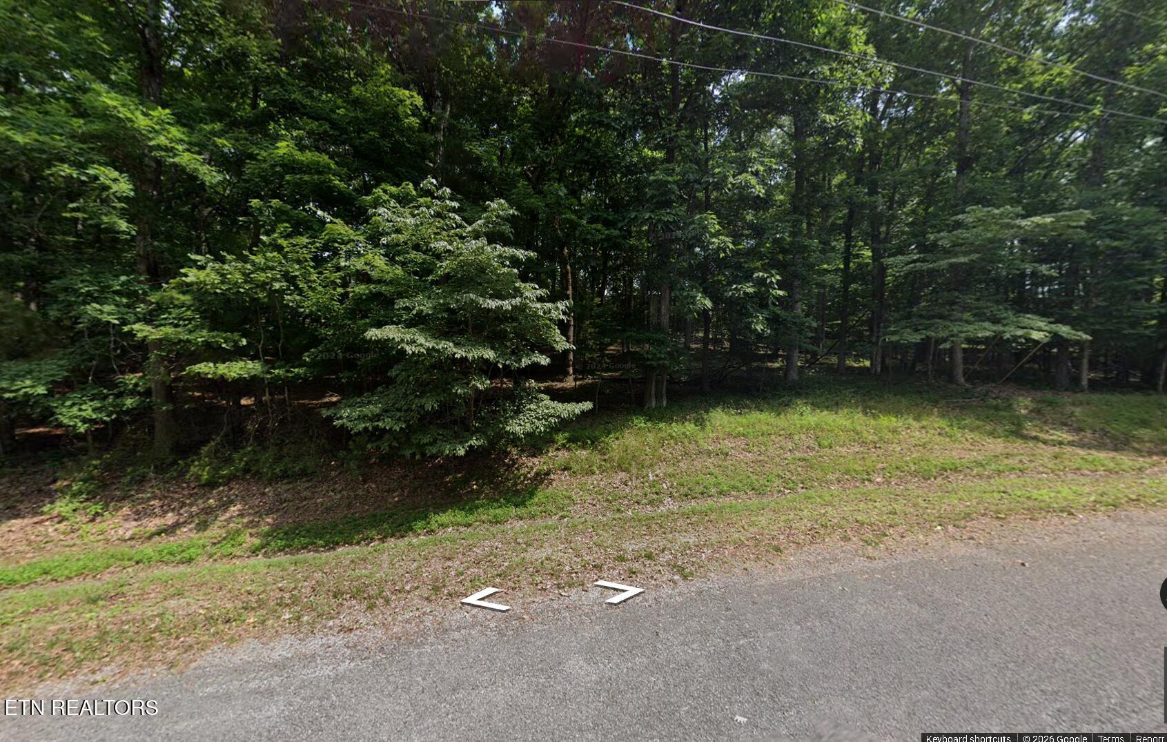 Image 3: ss3