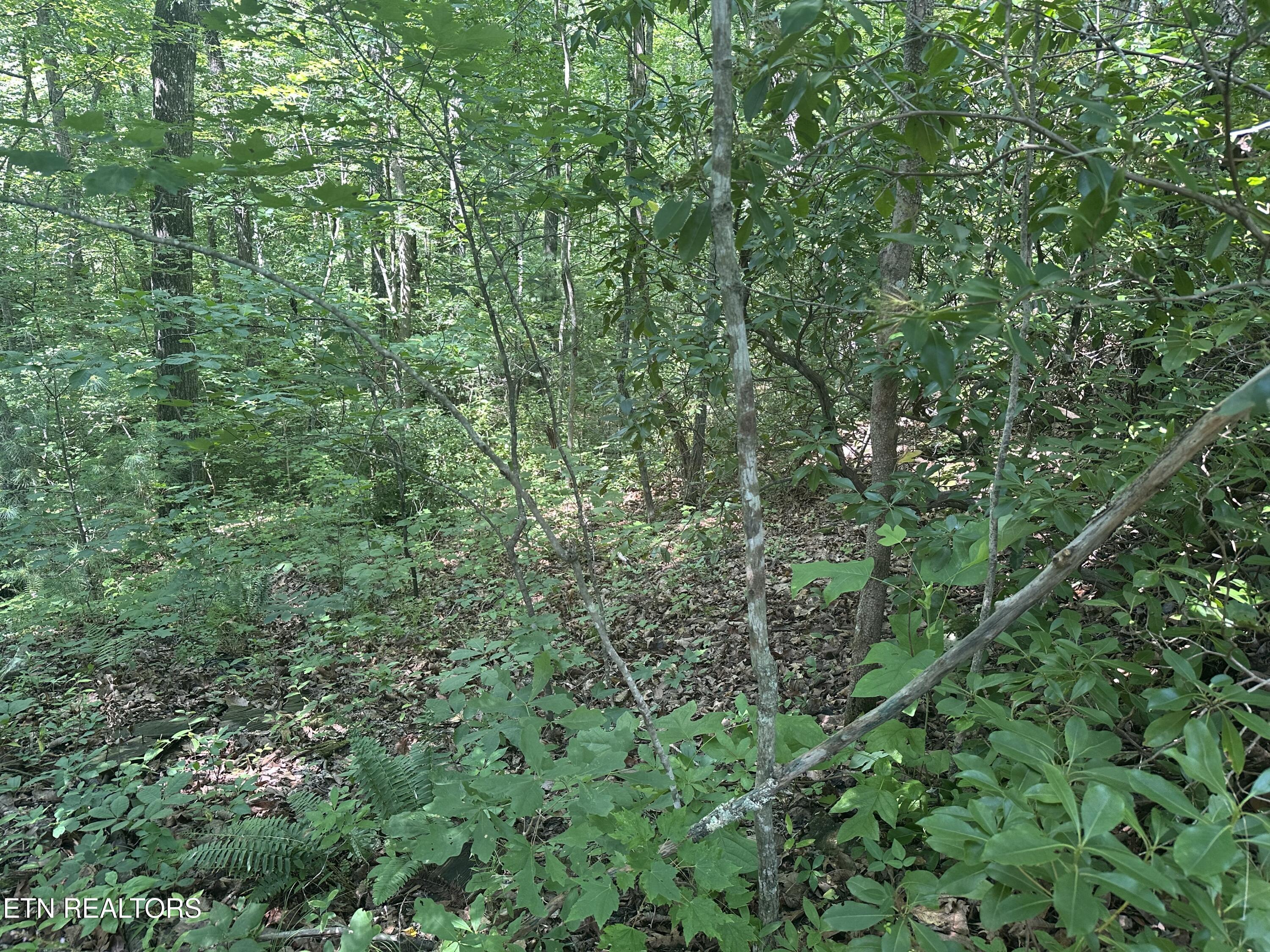Image 3: IMG_2879