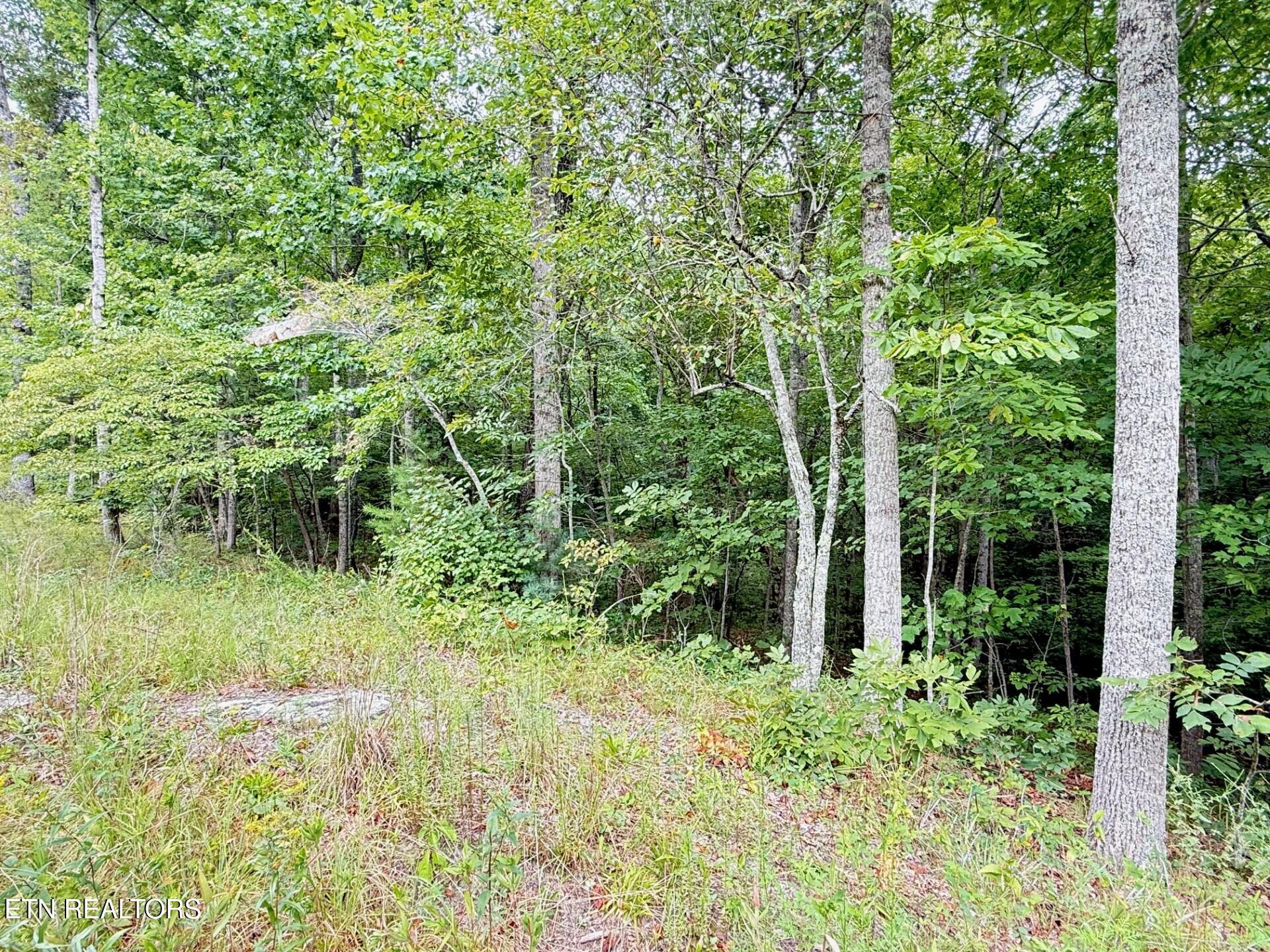 Image 2: Image 2