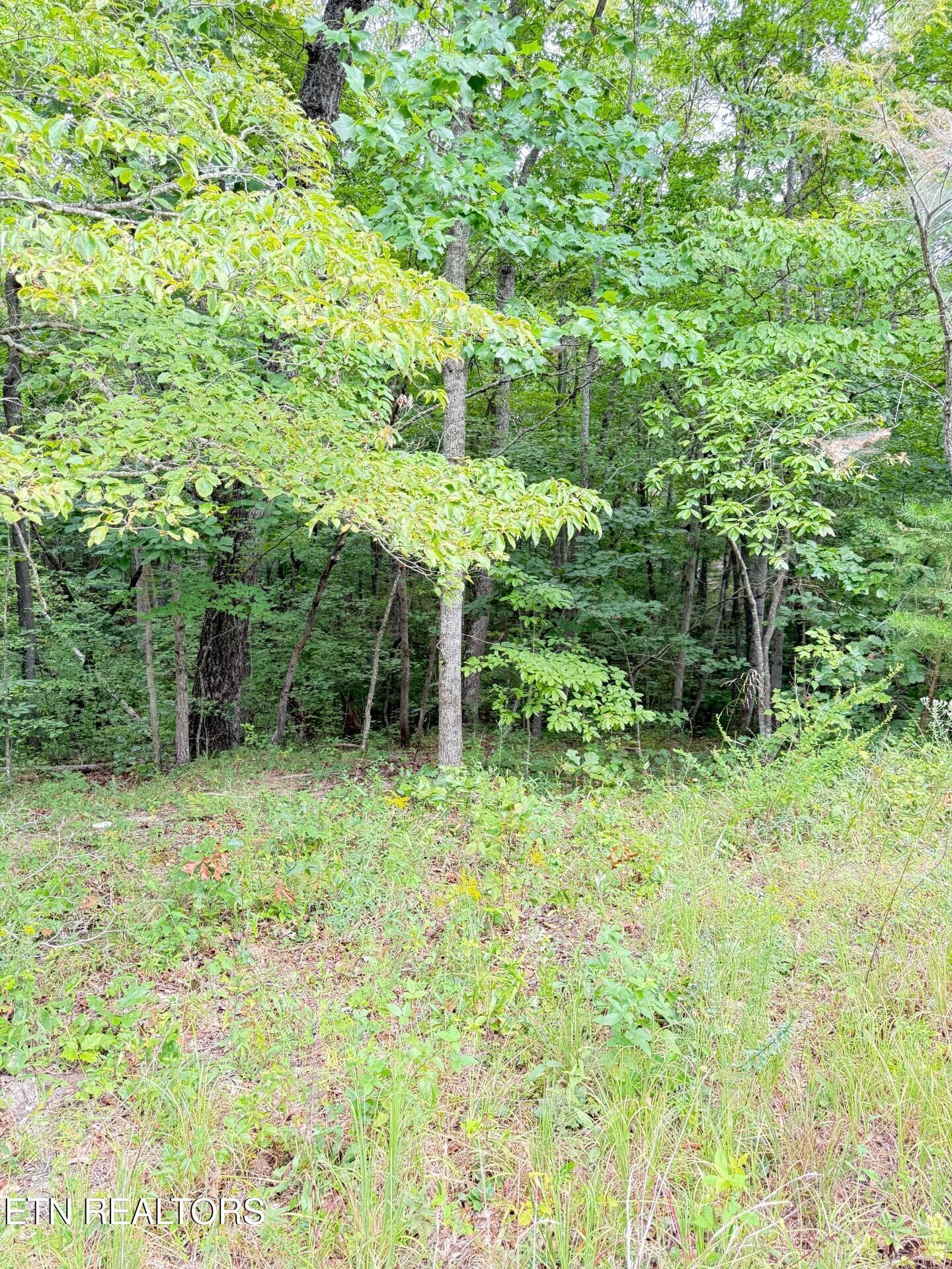 Image 4: Image 4