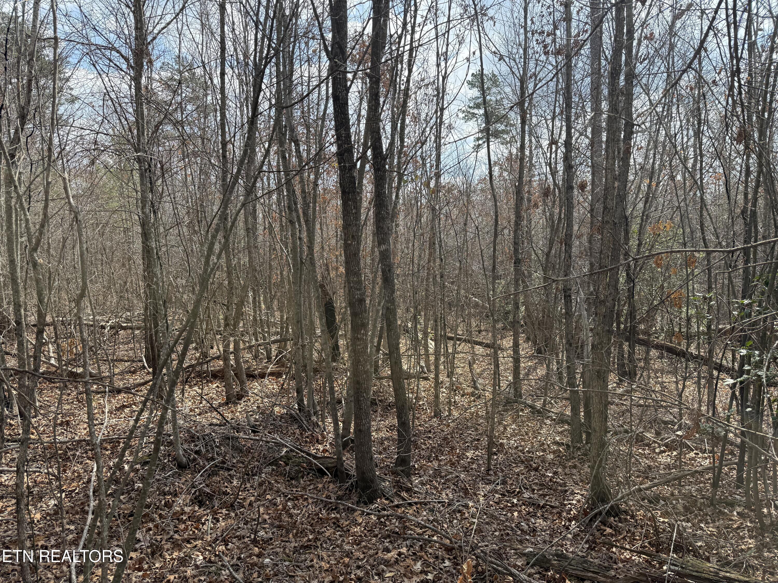 Image 2: IMG_1724
