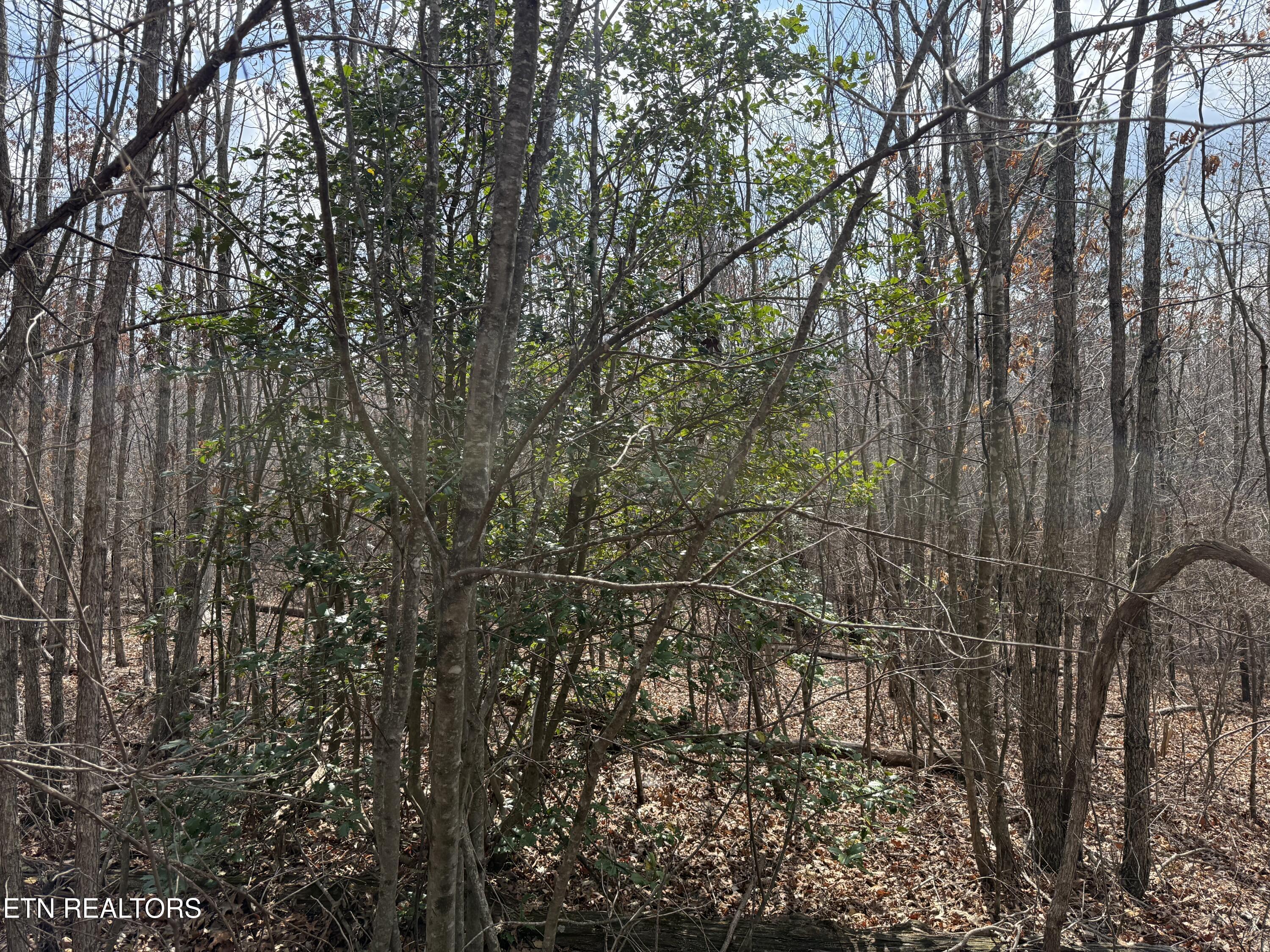Image 3: IMG_1726