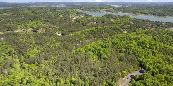 Image 4: dji_20240502105109_0130_d