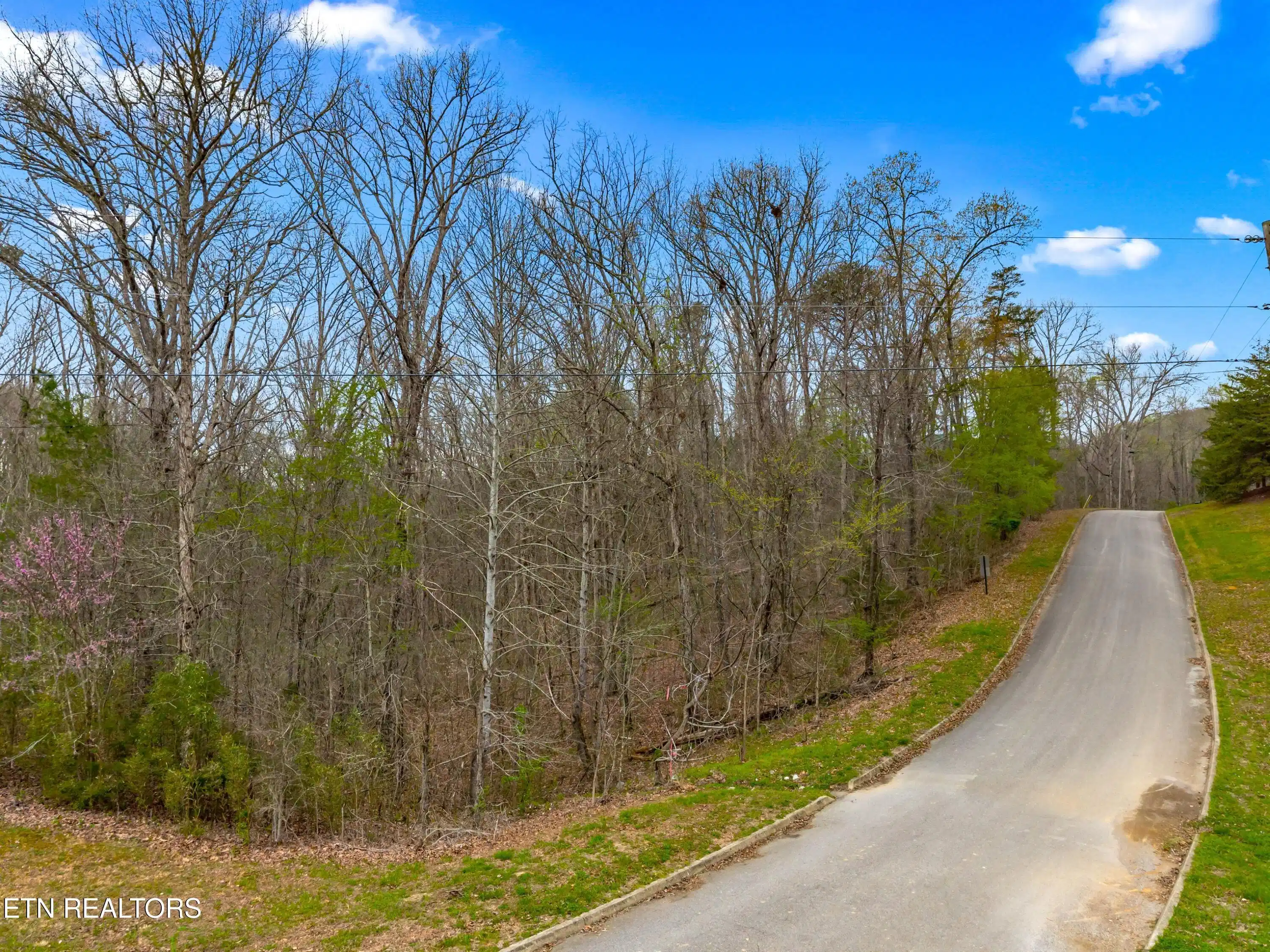 Image 1: 063-532TurtleDoveTrail-Dandridge
