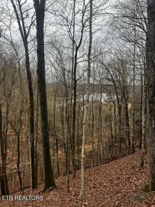 Lot 743 Russell Brothers Rd