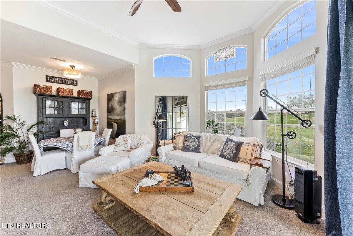 Image 3: Living Room