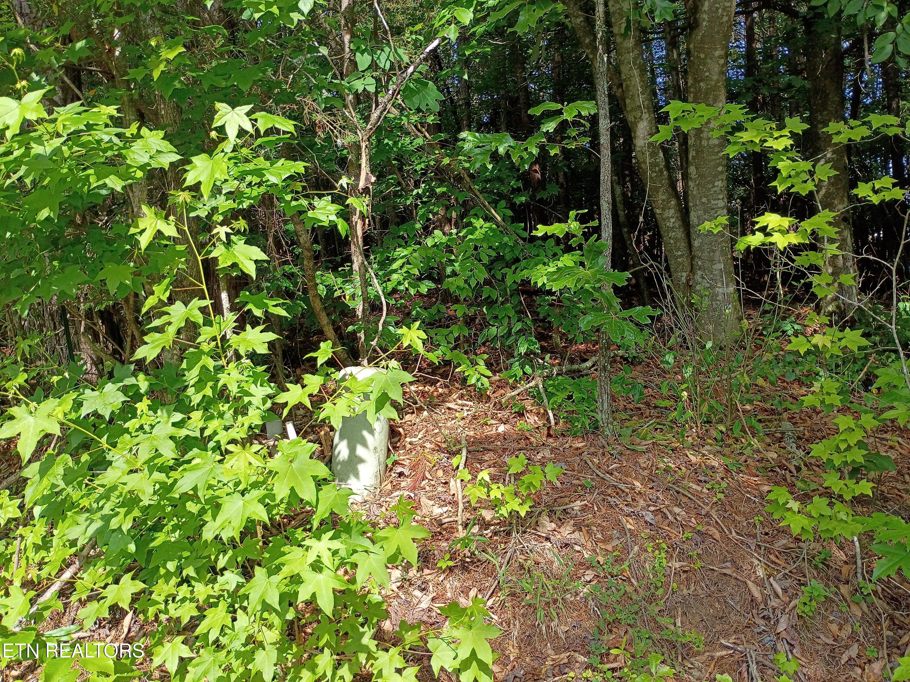Image 3: IMG_20260528_095046820