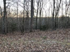 159 Vinita Lane 21