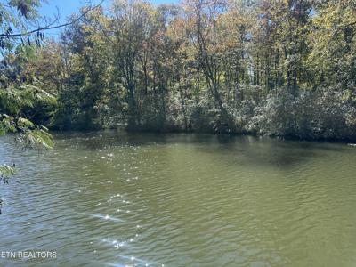 203 Blue Heron Dr. Drive