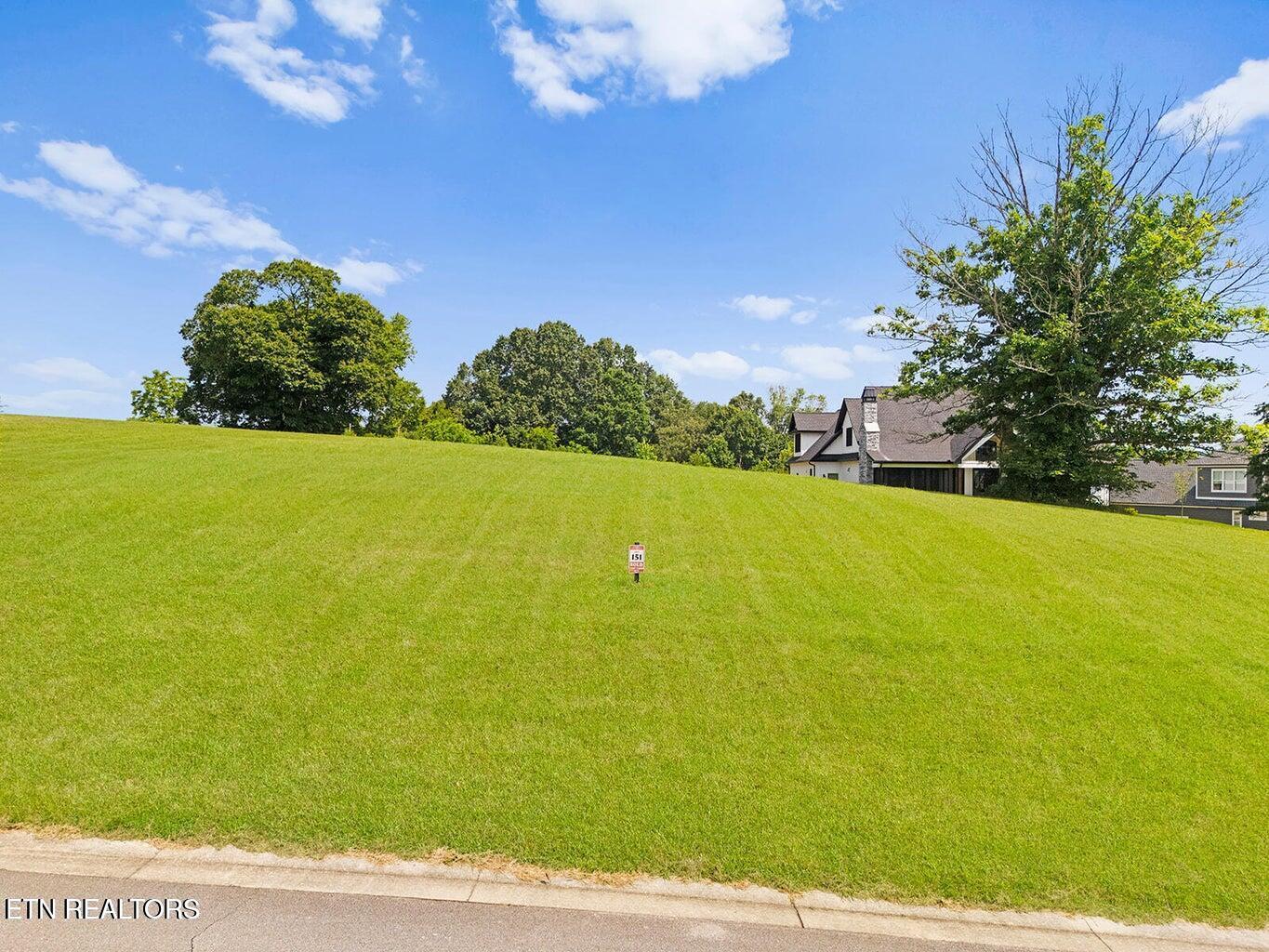 Image 3: image