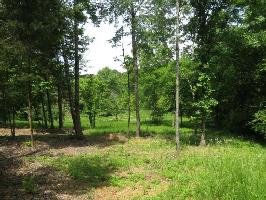 Bat Creek Shores 